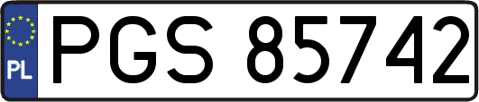 PGS85742