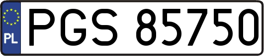 PGS85750