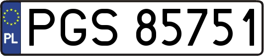 PGS85751