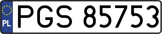 PGS85753