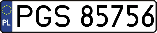 PGS85756