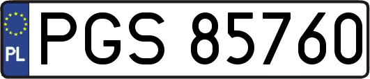 PGS85760