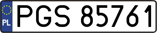 PGS85761
