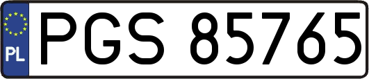 PGS85765