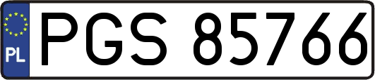 PGS85766