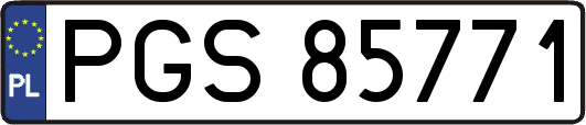 PGS85771