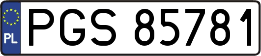 PGS85781