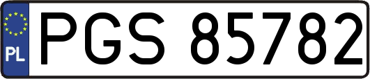 PGS85782