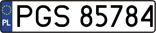 PGS85784