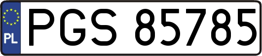 PGS85785