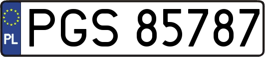 PGS85787