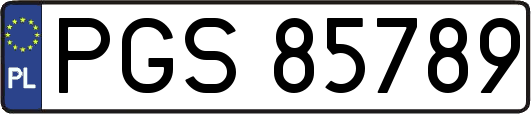 PGS85789