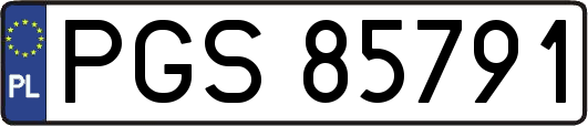 PGS85791