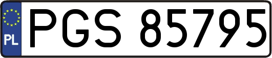 PGS85795