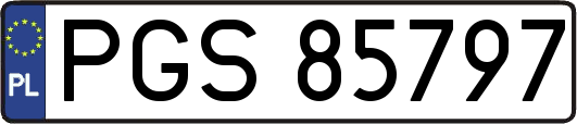 PGS85797