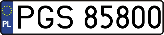 PGS85800