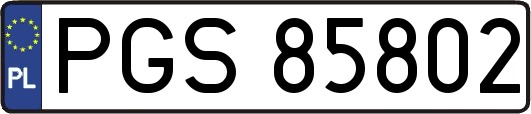 PGS85802
