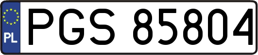 PGS85804