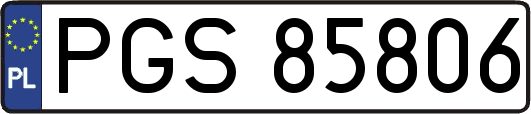 PGS85806