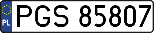 PGS85807