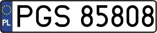 PGS85808