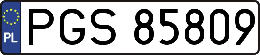 PGS85809