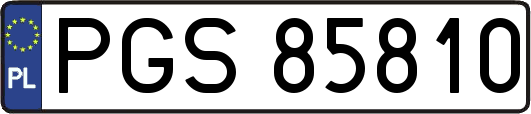 PGS85810