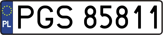 PGS85811
