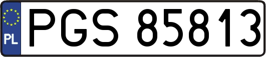 PGS85813