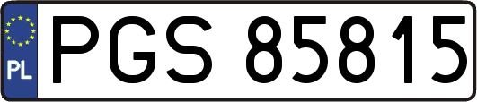 PGS85815