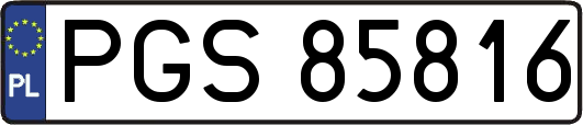 PGS85816