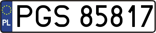 PGS85817