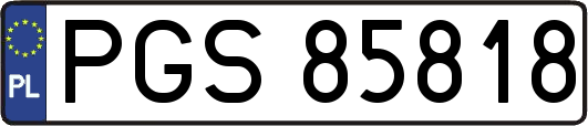 PGS85818