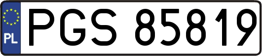 PGS85819