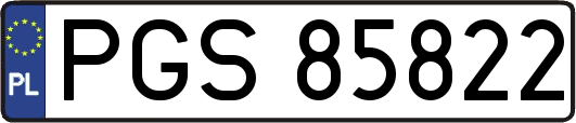 PGS85822
