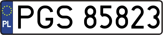 PGS85823