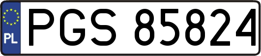 PGS85824