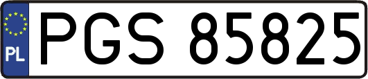 PGS85825