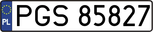 PGS85827