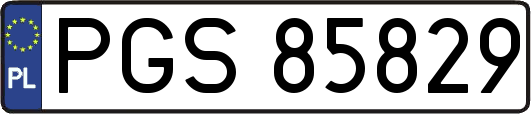 PGS85829