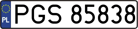 PGS85838