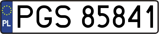 PGS85841