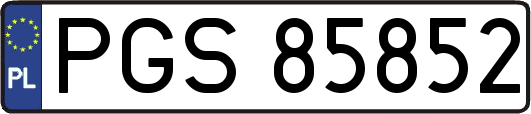 PGS85852