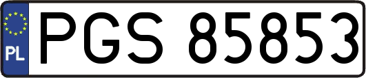 PGS85853