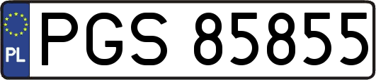 PGS85855