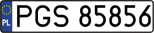 PGS85856