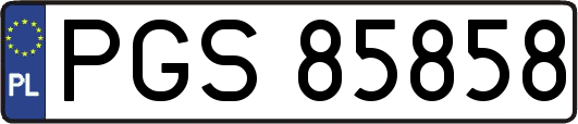 PGS85858