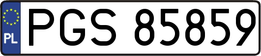 PGS85859