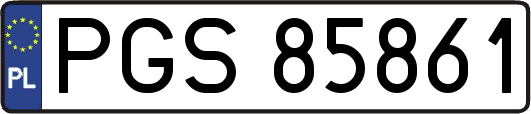 PGS85861