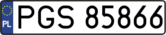 PGS85866